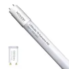 Noxion LED Röhre T8 Avant Extreme (EM/Mains) High Output 8.2W 1150lm - 865 Tageslichtweiß | 60cm - Ersatz Für 18W